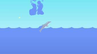 Dolphin Olympics