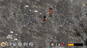 Stoneager