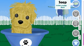 Puppy Needs Owner