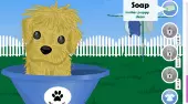 Puppy Needs Owner