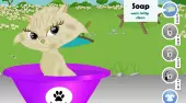 Kitty Needs Owner