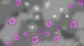 Phage Wars 2