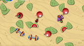FWG Evolution