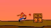 Crash Bandicoot