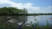 Duck Shooter