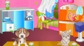 Pet Care