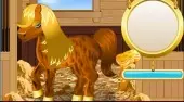 Pony Cleaning 