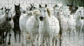 White Horse Jigsaw