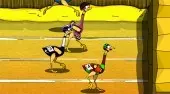 Big Bird Racing