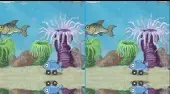 Fish Difference