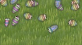 Butterfly Bash