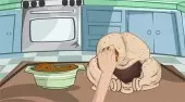How to Cook a Turkey