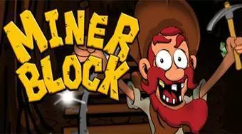 Miner Block