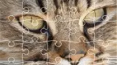 Jigsaw Puzzle Classic