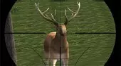 Deer Hunter
