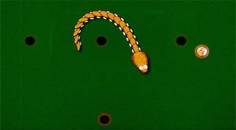 Billiard Snake