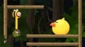 Doctor Acorn 2