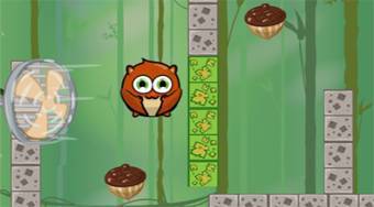 Nuts
