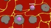 Lava.io