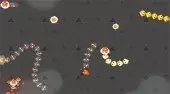 Angry Chickens