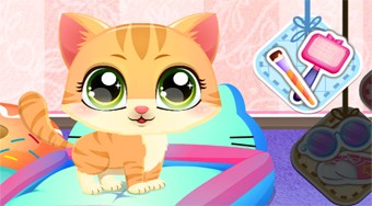 Kitty Fun Care