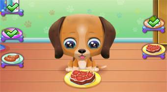 Cute Puppy Care