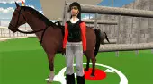 Horse Jumoing Show