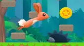 Rabbit Ben
