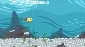 The Happiest Fish