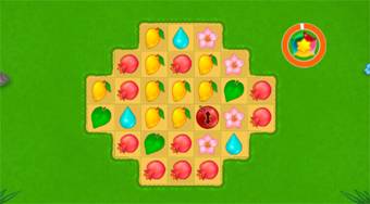 Island Puzzle