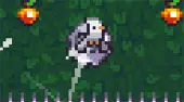 Birdmo