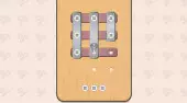 Nuts And Bolts Screw Puzzle