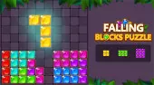 Falling Blocks Puzzle
