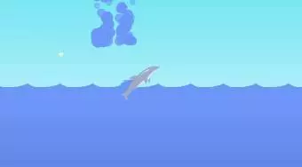 Dolphin Olympics