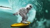 Surfing