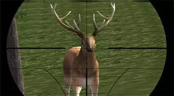 Deer Hunter