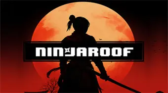 NinjaRoof
